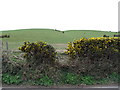 Undulating pasture land west of the Carnacally Road