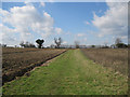 Footpath to Holt Road