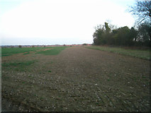 SU5849 : Great Wildcroft field - (20.5 acres) by Mr Ignavy