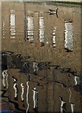 TQ2482 : Reflections, Grand Union Canal by Derek Harper