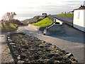 Flower Bed at Woolacombe Beach