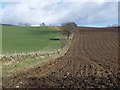 Wall and ploughed field at Little Kilry