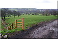 Fence and path below Middle Shorrock Hey Farm