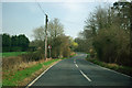 Tenterden Road near High Tilt