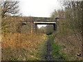 Woodcote Road Bridge