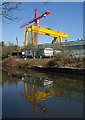 TQ2182 : Gantry and crane, Freightliner Terminal by Derek Harper