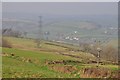 Mid Devon : Grassy Hillsides