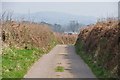 Mid Devon : Countryside Road