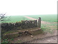 Pity about the mist,  path leaves Widley Copse towards Fulbrook