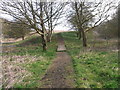 Duckboards and steps take the path into he field