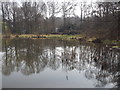 TQ1263 : Halfpenny Pond, Esher by Colin Smith