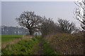 The Mersey Way - the high path