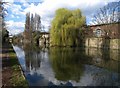 Grand Union Canal at Alperton