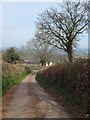 Looking down Sock Hill to Crosslands