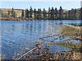 View from the bird hide, Loch of Lintrathen