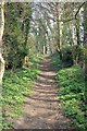 Leckhampton Hill path