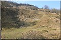 Quarried face of Leckhampton Hill