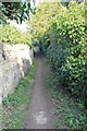 Footpath from Daisy Bank Road to Southfield Manor