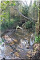 Lilley Brook in Charlton Park