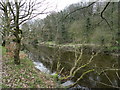 River Goyt near Lower Dale Farm