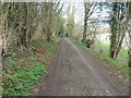 Footpath 89 and track to Cosford house