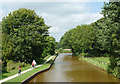 Trent and Mersey Canal near Lawton-gate, Cheshire