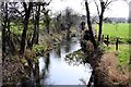 The River Ock at Lyford