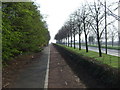 Cycle track beside the A561