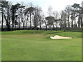 Hennerton Golf Course 14th green