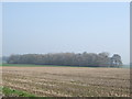 Farmland off Ramsbrook Lane