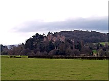 SS9943 : Dunster Castle by Chris McAuley