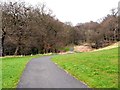 Cycle track north through Denton Dene