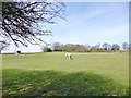 Stuckton, horse grazing