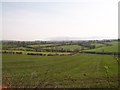 View across farmland to the Newry Road