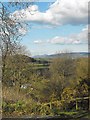 View down the Severn valley from the green burial ground