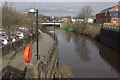 White Cart Water, Paisley