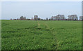 Footpath over field