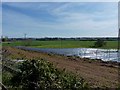 Across the valley of the Penk towards The Deanery