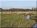 Bridge Over Hey Brook