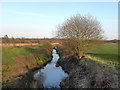 Nan Holes Brook