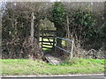 TL9906 : Footbridge and gate by Roger Jones