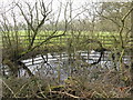 Pond at Dennow Farm