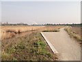 Saxon Shore Way in Milton Creek Country Park