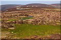 NT1728 : Green moss and bog, Newholm Cairns Hill by Jim Barton
