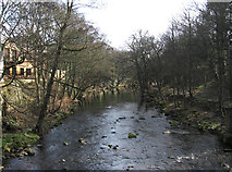 SK3192 : Middlewood - River Don south of Rocher Bridge by Dave Bevis
