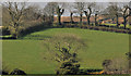 Fields near Dundonald (1)