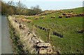 A Mole Gibbet