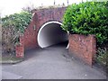 Pedestrian Tunnel