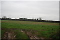 Farmland by Bonscombe Lane