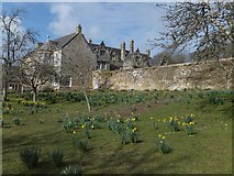 SW8458 : Trerice House from the orchard by David Smith